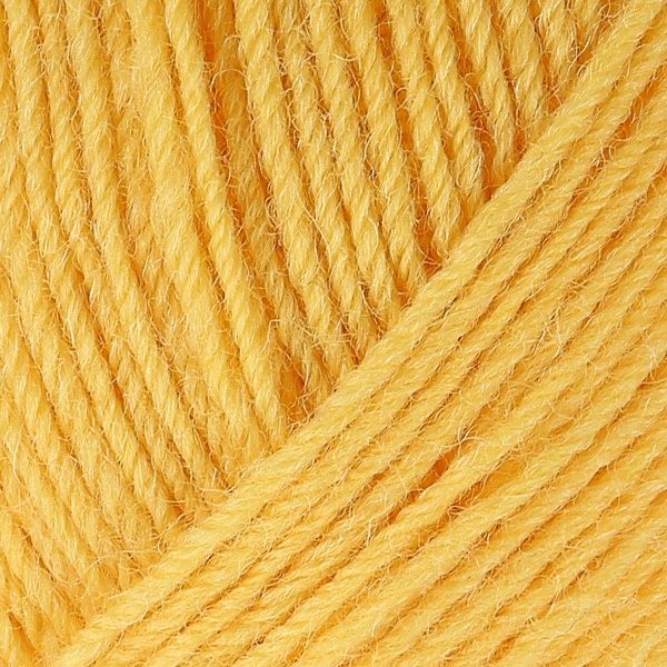 UNI Regia 4-ply пряжа шкарпеткова 75% вовна, 25% поліамід 50г/210м 2041 2041u фото