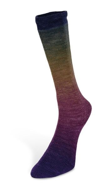 HARMONIOUS SOCKS Laines du Nord пряжа носочная 75% шерсть, 25% нейлон 100г/420м градиент 3 3hs фото
