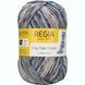 CITY FLAIR Regia 4-ply пряжа шкарпеткова 75% вовна, 25% поліамід 100г/420м 3098 3098cf фото