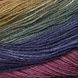 HARMONIOUS SOCKS Laines du Nord пряжа носочная 75% шерсть, 25% нейлон 100г/420м градиент 3 3hs фото 4