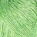 LINEN INTENCE YarnArt пряжа віскоза 55%, льон 45% 50г/175м 4125 салатовий 4125li фото 2