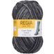COOL STYLE Regia 6-ply пряжа носочная 75% шерсть, 25% полиамид 150г/375м 02930 02930 фото