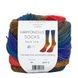 HARMONIOUS SOCKS Laines du Nord пряжа шкарпеткова 75% вовна, 25% нейлон 100г/420м градієнт 4 4hs фото