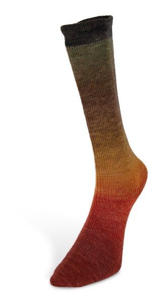 HARMONIOUS SOCKS Laines du Nord пряжа носочная 75% шерсть, 25% нейлон 100г/420м градиент 5 5hs фото