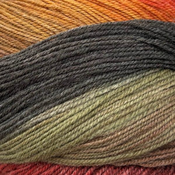 HARMONIOUS SOCKS Laines du Nord пряжа носочная 75% шерсть, 25% нейлон 100г/420м градиент 5 5hs фото