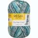 CITY FLAIR Regia 4-ply пряжа шкарпеткова 75% вовна, 25% поліамід 100г/420м 3100 3100cf фото