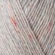 TWEED Regia 4-ply пряжа шкарпеткова 75% вовна, 25% поліамід 100г/420м 90 90t фото 2