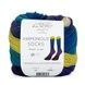 HARMONIOUS SOCKS Laines du Nord пряжа шкарпеткова 75% вовна, 25% нейлон 100г/420м градієнт 7 7hs фото