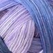 Gradient 2480g фото 2