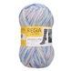 DESIGN LINE Regia 4-ply пряжа носочная 75% шерсть, 25% полиамид 100г/420м 2307 23071rdl фото