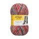 DESIGN LINE Regia 4-ply пряжа носочная 75% шерсть, 25% полиамид 100г/420м 03760 03760rdl фото
