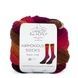 HARMONIOUS SOCKS Laines du Nord пряжа шкарпеткова 75% вовна, 25% нейлон 100г/420м градієнт 8 8hs фото