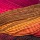 HARMONIOUS SOCKS Laines du Nord пряжа шкарпеткова 75% вовна, 25% нейлон 100г/420м градієнт 8 8hs фото 4