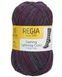 DASHING LIGHTNING Regia 4-ply пряжа шкарпеткова 75% вовна, 25% поліамід 100г/420м 2354 2354rdl фото 4