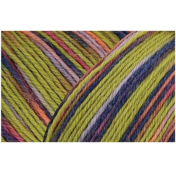 DASHING LIGHTNING Regia 4-ply пряжа носочная 75% шерсть, 25% полиамид 100г/420м 2356 2356rdl фото