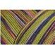 DASHING LIGHTNING Regia 4-ply пряжа носочная 75% шерсть, 25% полиамид 100г/420м 2356 2356rdl фото 2