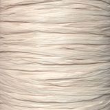 Рафія ISPIE White oak 100% віскоза 120г/250м 186А ISPIE 186А White oak фото