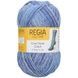 COOL STYLE Regia 6-ply пряжа носочная 75% шерсть, 25% полиамид 150г/375м 02931 фото 1