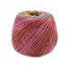 Summer Sock 100ss фото