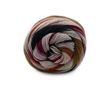 ART SOCK Laines du Nord носочная пряжа 75% шерсть, 25% полиамид 100г/420м 4 4as фото