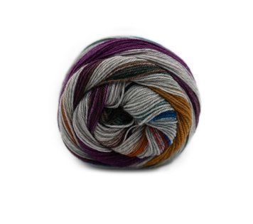 ART SOCK Laines du Nord носочная пряжа 75% шерсть, 25% полиамид 100г/420м 5 5as фото