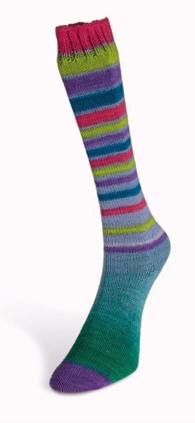 INFINITY SOCK Laines du Nord носочная пряжа 75% шерсть, 25% полиамид 100г/420м 19 19is фото
