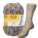 DAY DREAMING Regia 4-ply пряжа шкарпеткова 75% вовна, 25% поліамід 100г/420м 3060 3060rdd фото 1