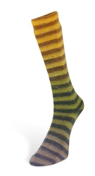 PAINT SOCKS 6-ply Laines du Nord пряжа шкарпеткова 75% вовна, 25% нейлон 150г/400м 2 2ps6 фото