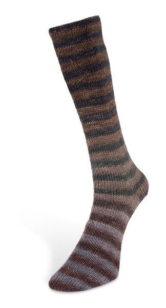 PAINT SOCKS 6-ply Laines du Nord пряжа шкарпеткова 75% вовна, 25% нейлон 150г/400м 5 5ps6 фото