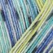 DAY DREAMING Regia 4-ply пряжа шкарпеткова 75% вовна, 25% поліамід 100г/420м 3062 3062rdd фото 2