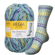 DAY DREAMING Regia 4-ply пряжа шкарпеткова 75% вовна, 25% поліамід 100г/420м 3062 3062rdd фото