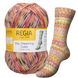 DAY DREAMING Regia 4-ply пряжа шкарпеткова 75% вовна, 25% поліамід 100г/420м 3063 3063rdd фото