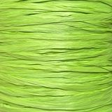 Рафія ISPIE 130B Lime ISPIE 130B Lime фото