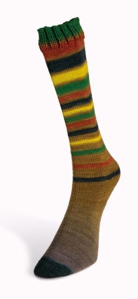 INFINITY SOCK Laines du Nord носочная пряжа 75% шерсть, 25% полиамид 100г/420м 23 23is фото