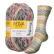 DAY DREAMING Regia 4-ply пряжа шкарпеткова 75% вовна, 25% поліамід 100г/420м 3064 3064rdd фото