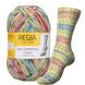 DAY DREAMING Regia 4-ply пряжа шкарпеткова 75% вовна, 25% поліамід 100г/420м 3065 3065rdd фото