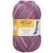 COOL STYLE Regia 6-ply пряжа носочная 75% шерсть, 25% полиамид 150г/375м 02932 02932 фото