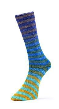 PAINT SOCKS 6-ply Laines du Nord пряжа шкарпеткова 75% вовна, 25% нейлон 150г/400м 11 11ps6 фото