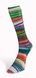 ECLECTIC SOCK Laines du Nord шкарпеткова пряжа 75% вовна, 25% поліамід 100г/420м 3 3es фото 2