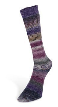CARNIVAL SOCKS Laines du Nord пряжа шкарпеткова 75% вовна, 25% нейлон 100г/420м 4 4cs фото