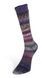 CARNIVAL SOCKS Laines du Nord пряжа шкарпеткова 75% вовна, 25% нейлон 100г/420м 4 4cs фото