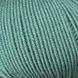 SUPERWOOL Mondial пряжа 100% шерсть мериноса екстрафайн 50г/125м 349 349sw фото