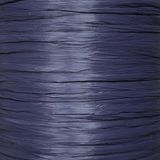 Рафія ISPIE Navy 100% віскоза 120г/250м 7496201 ISPIE 7496201 Navy фото