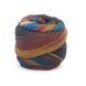 INFINITY SOCK Laines du Nord носочная пряжа 75% шерсть, 25% полиамид 100г/420м 16 16is фото