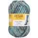 COOL STYLE Regia 6-ply пряжа носочная 75% шерсть, 25% полиамид 150г/375м 02933 02933 фото