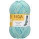 COOL STYLE Regia 6-ply пряжа носочная 75% шерсть, 25% полиамид 150г/375м 02934 02934 фото