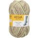 COOL STYLE Regia 6-ply пряжа носочная 75% шерсть, 25% полиамид 150г/375м 02935 02935 фото