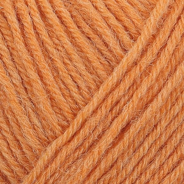 UNI Regia 4-ply пряжа шкарпеткова 75% вовна, 25% поліамід 50г/210м 1054 1054u фото